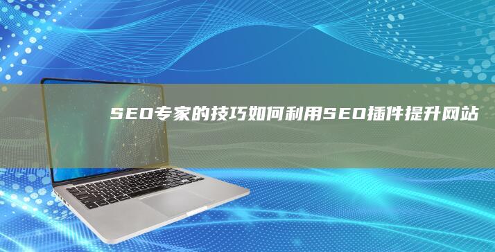 SEO专家的技巧：如何利用SEO插件提升网站排名 (seo专家的主要工作是什么)