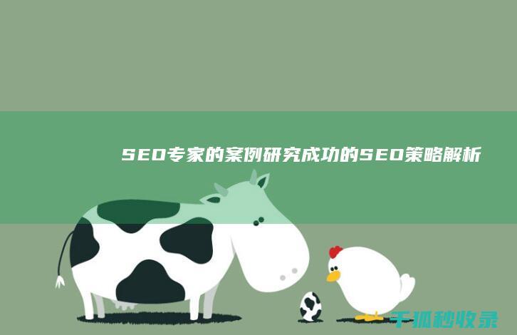 SEO专家的案例研究：成功的SEO策略解析 (seo专家的主要工作是什么)